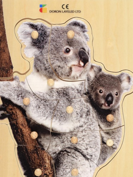 Steckpuzzle-realistisch-koala